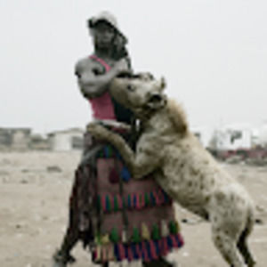 Meet your Posher, Rokas